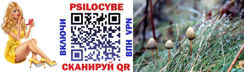 Псилоцибиновые грибы мицелий  Новомичуринск 